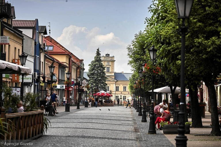 Others 5, Apartamenty Alexa Old Town Kutno, Kutno