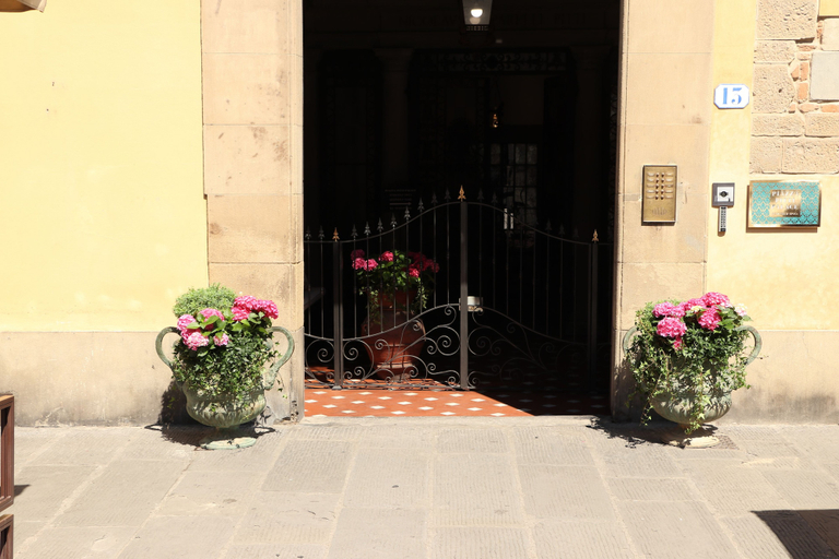 Exterior & Views 2, Piazza Pitti Palace, Florence
