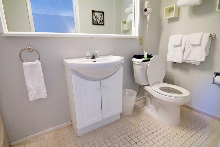 Bathroom 3, Hotel Frankfort & Restaurant, Benzie