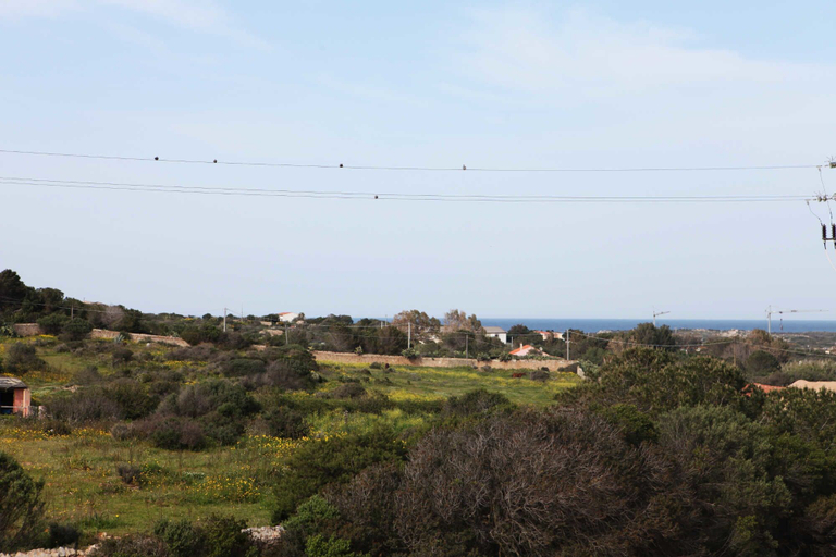 Others 5, Guest House Villabianca, Olbia-Tempio