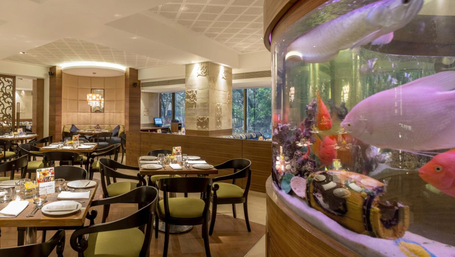Food & Drinks 5, The International by Tunga, Mumbai Suburban