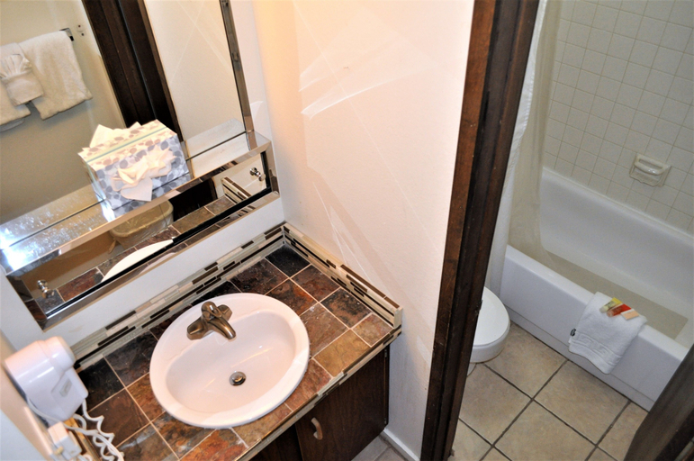 Bathroom 4, Snowflake 1 Bed plus Den 2 Bath, Summit