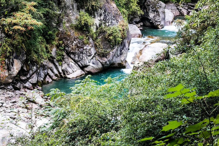 Others 3, 8fold by Larisa, Jibhi, Kullu