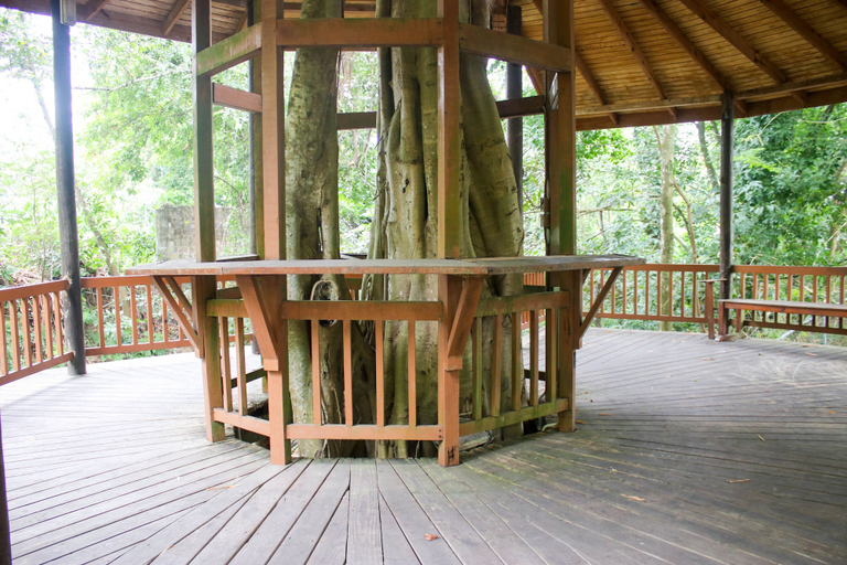 Others 4, The Blue Mahoe Treehouse