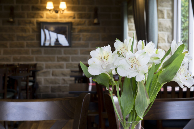 Others 3, The Plough, North Yorkshire