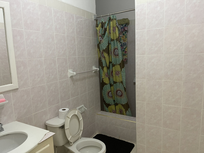 Bathroom 4, Pirate Palms