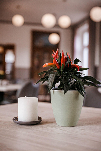 Food & Drinks 5, Hotel Biedendieck, Warendorf