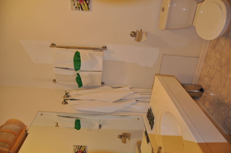 Bathroom 3, West Hotel, Pereslavskiy rayon