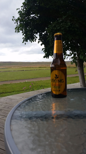Food & Drinks 2, Huts in Víðidalur, Húnaþing vestra