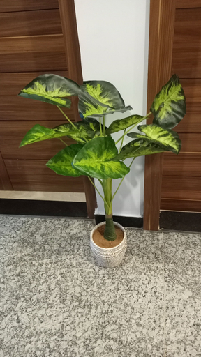 Others 4, Hotel S J Pride, Khordha