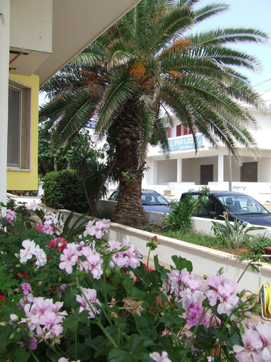 Exterior & Views 2, Hotel Albatros, Lecce