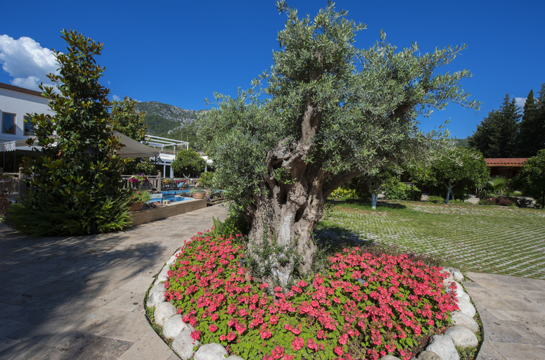 Exterior & Views 2, Kimera Lounge, Kemer
