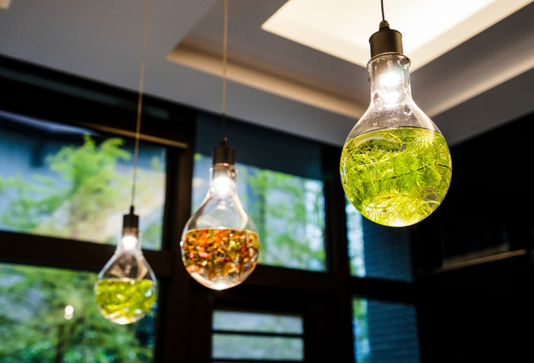 Food & Drinks 5, Sunny Stream Villa, Yilan