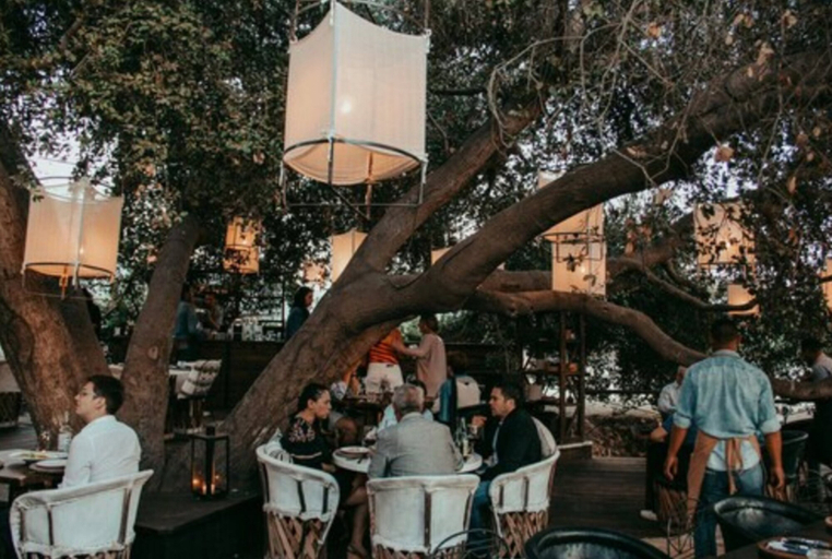 Food & Drinks 5, Hotel Partana, Ensenada