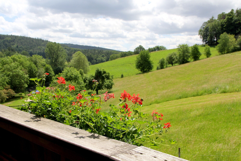Others 5, Natur & Wander Hotel Gassbachtal, Bergstraße