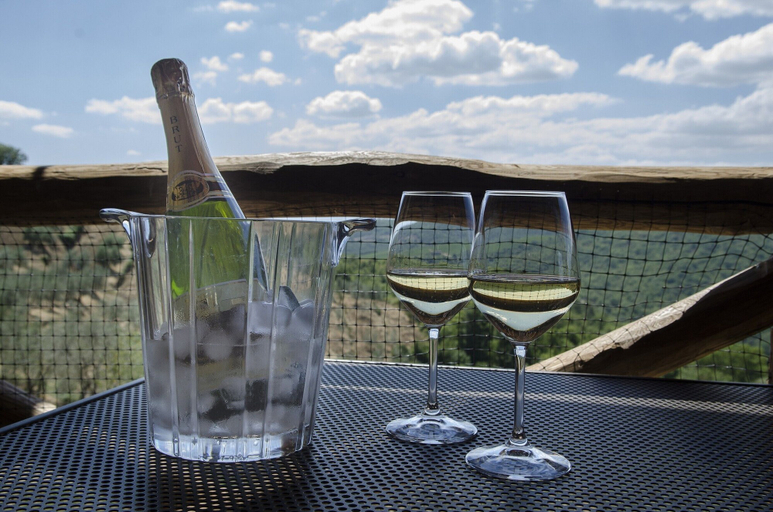 Food & Drinks, Typical, Charming With Chianti View, Arezzo