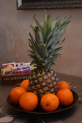Food & Drinks 5, Apartments Konoba 224