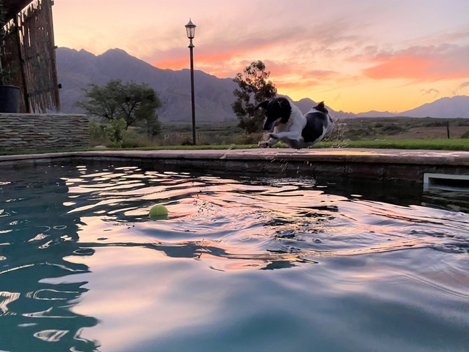 Sport & Beauty 5, 360on62 Mountain View Farm Cottages, Cape Winelands