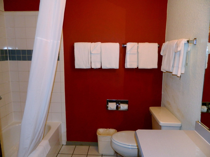 Bathroom 4, Quality Inn & Suites Farmington, San Juan