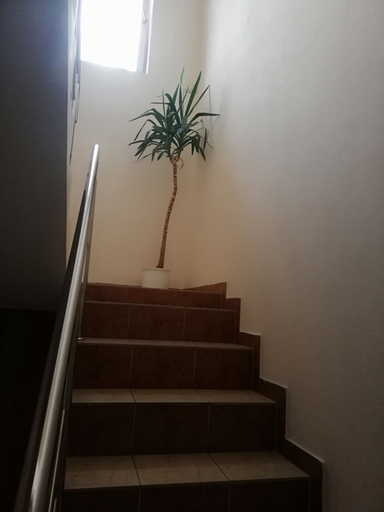 Others 4, Apartamenty Alexa Old Town Kutno, Kutno
