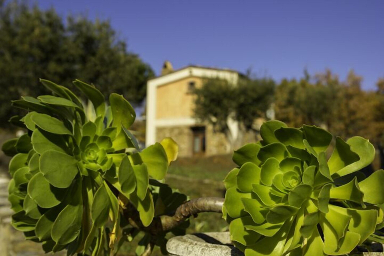 Exterior & Views 2, Agriturismo Fonte di Maroglio, Cosenza