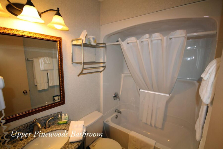 Bathroom 3, The Glen House Resort, Lake Ontario