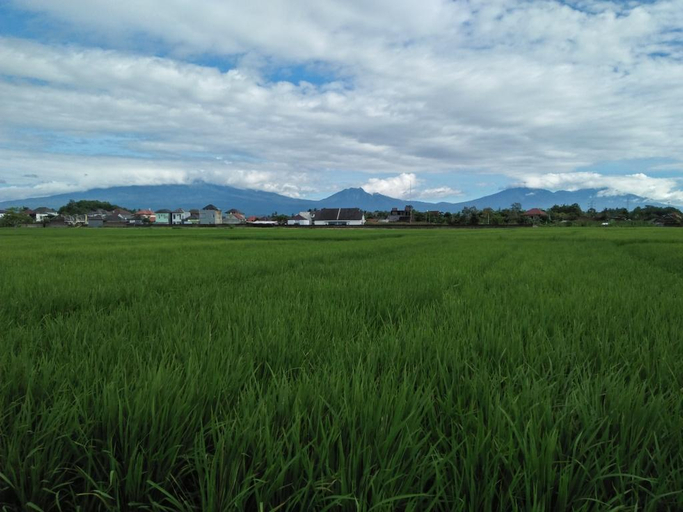 Others 4, Griya Kos Gucci Syariah, Banyuwangi