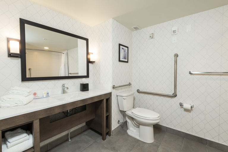 Bathroom 4, Comfort Inn & Suites, Lanark