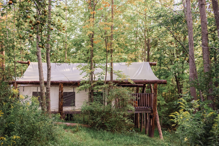 Exterior & Views 2, Firelight Camps, Tompkins