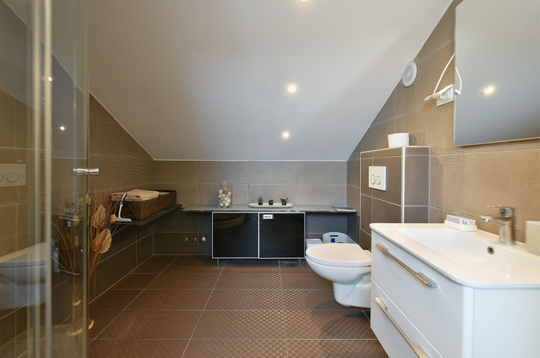 Bathroom 4, Apartment 1955, Ližnjan
