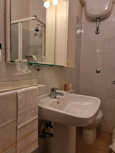 Bathroom 4, Hotel Amalfitana, Pisa