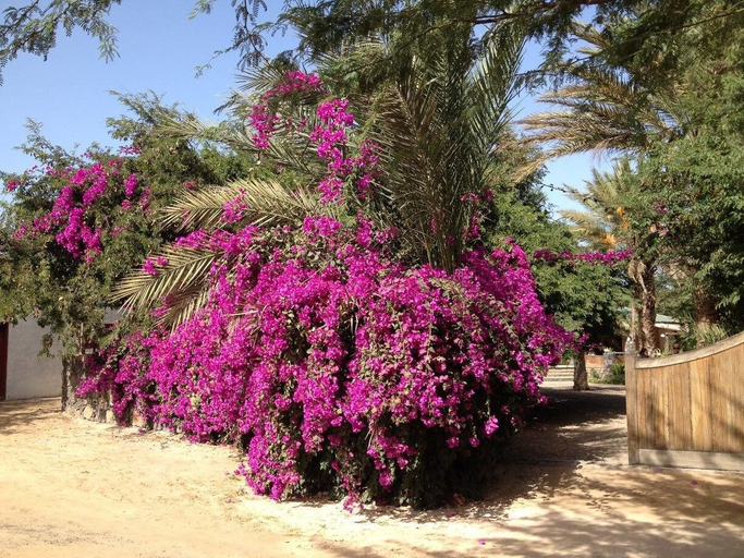 Others 5, Villa Morabeza Guest House