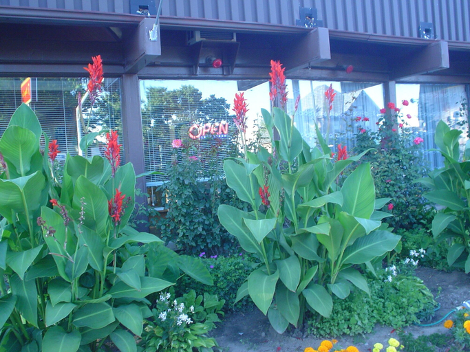 Exterior & Views 2, Advance Inn, Niagara