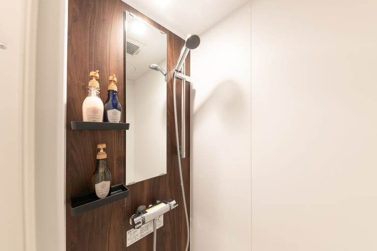 Bathroom 3, Gora Base A, Hakone