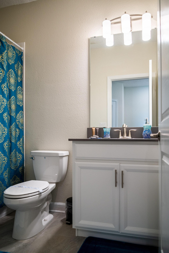 Bathroom 4, Safari Island by Orlando Short Term, Osceola