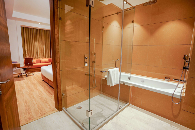 Bathroom 5, Best Western Vrindavan , Mathura