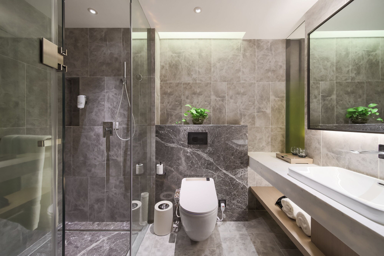 Bathroom, Ibis Styles Hotel Nanjing South Railway Station North Square, Nanjing