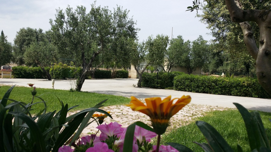 Others 5, Oasi degli Ulivi, Brindisi