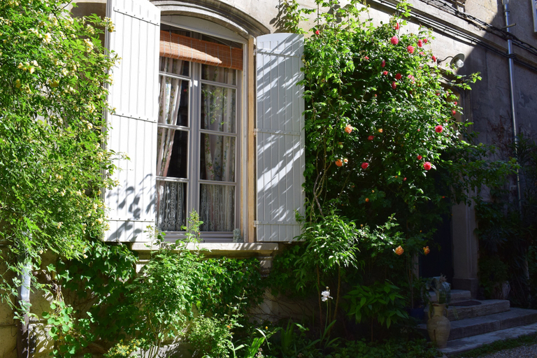Exterior & Views 2, Cocooning, Vaucluse