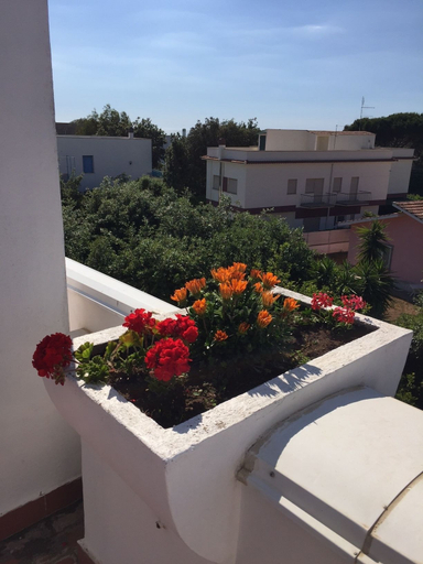 View from property 3, Lavinio Terrace, Rome