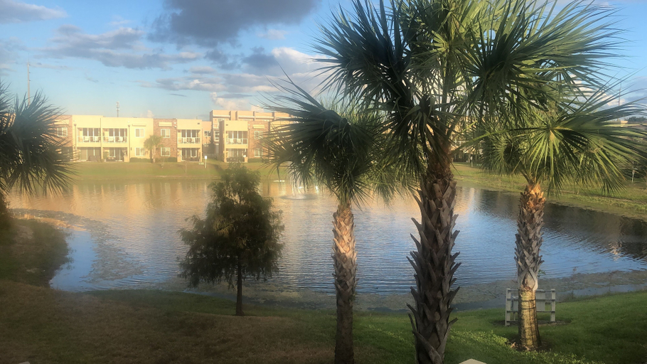Exterior & Views 2, Comfortable 4 BDR House near Disney in Orlando, Osceola