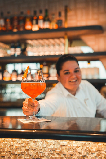 Food & Drinks 4, Van der Valk Hotel Delft A4, Schipluiden