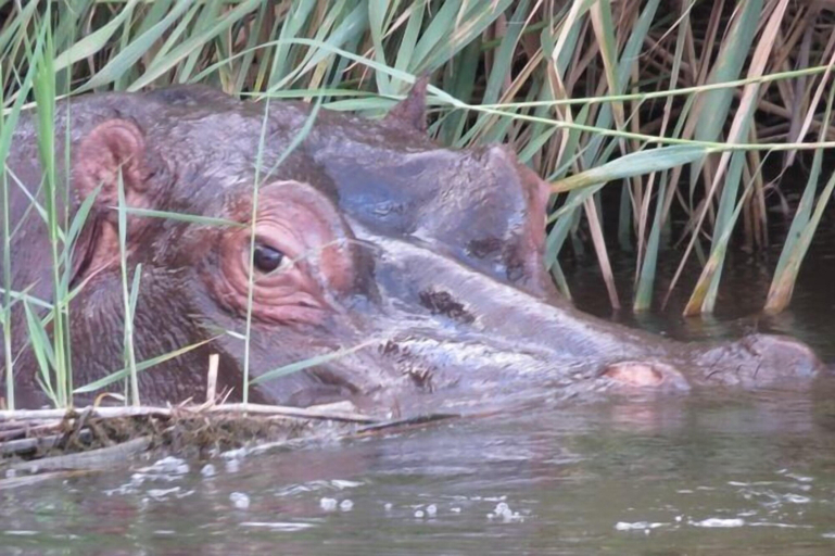 Others 4, New Holme Nature Lodge, Pixley ka Seme