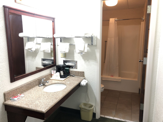 Bathroom 4, Posh Inn & Suites, Wood