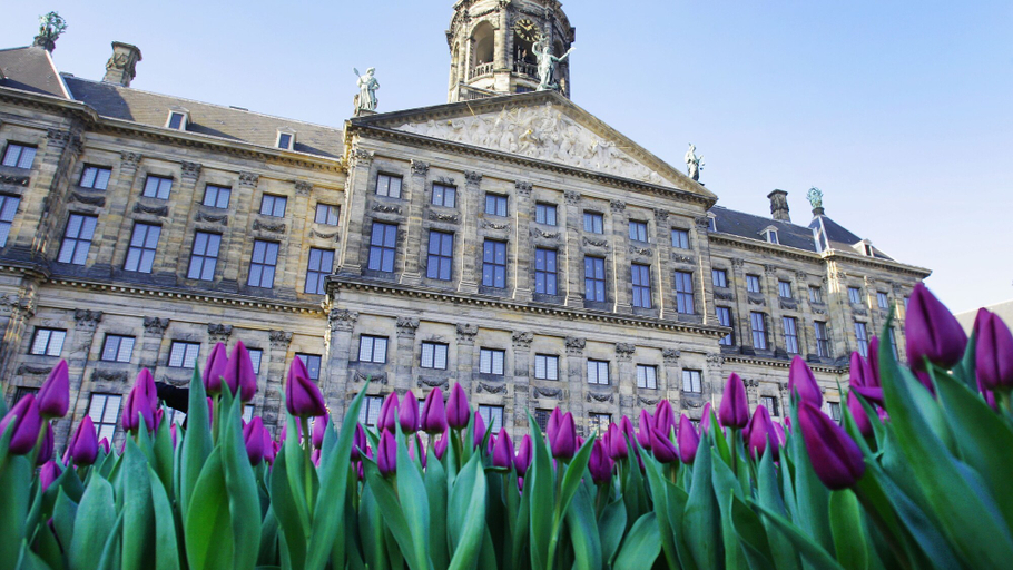 Exterior & Views 5, The Highlander, Amsterdam