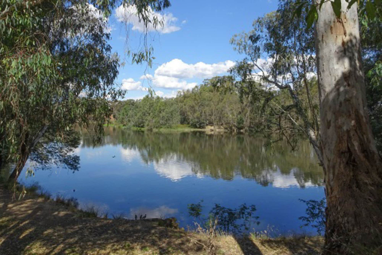 Others 5, BIG4 Tiny Away Stay - Seymour Riverside, Mitchell - North