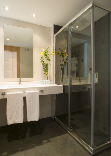 Bathroom 3, Hotel Spa Niwa, Guadalajara
