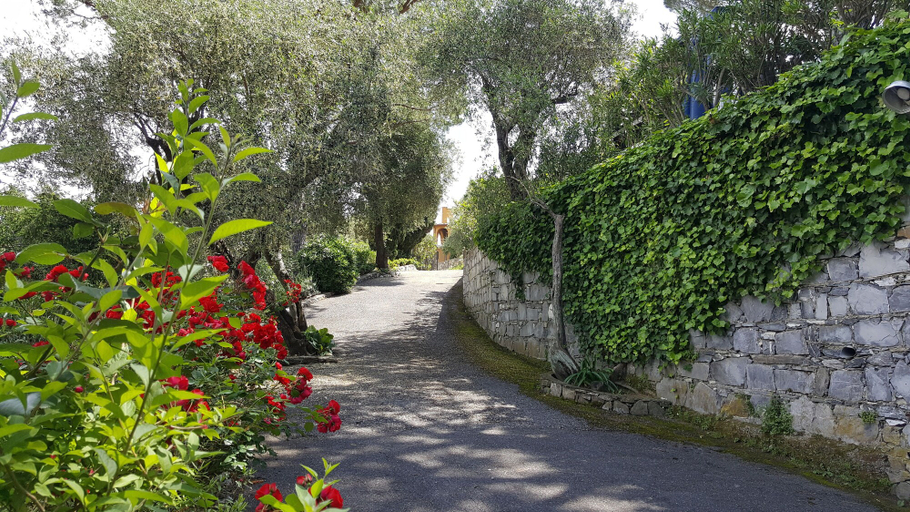 Property grounds 4, Casa Amore, Genova