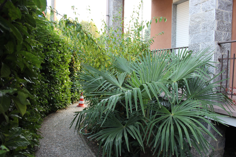 Exterior & Views 3, B&B Milano Malpensa 1, Milano