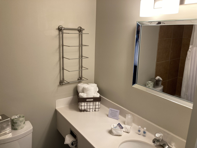 Bathroom 5, The Aurora Inn, Portage